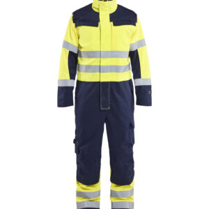 Multinorm Overall