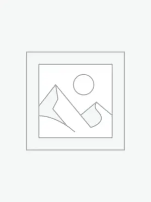 Damen Handwerker Arbeitshose Denim Stretch